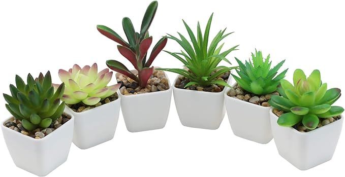 Nubry Mini Fake Succulent Plants Artificial Plastic Succulents Potted Faux Assorted Plants for Ho... | Amazon (US)