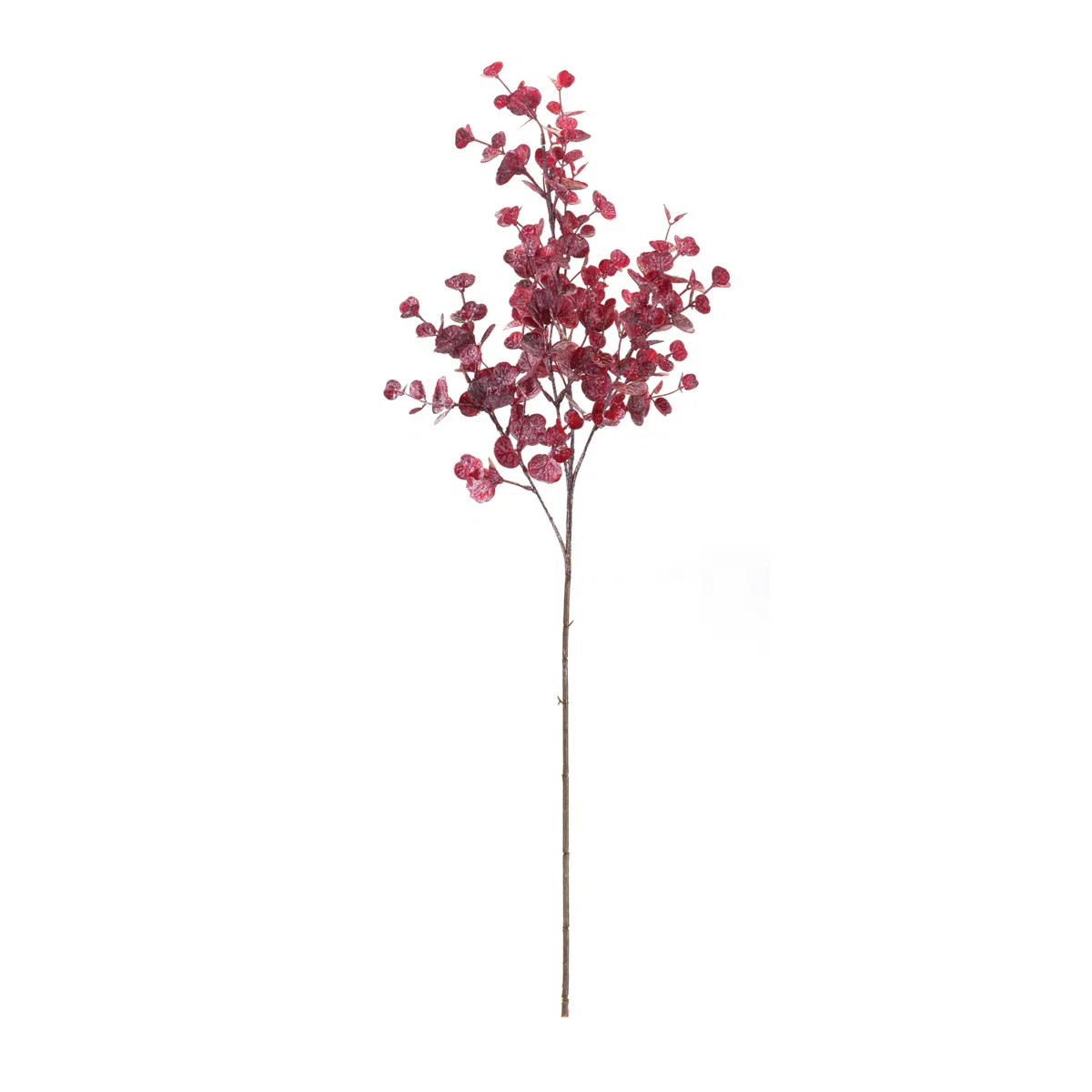 Eucalyptus Arrangement (Set of 6) | Wayfair North America