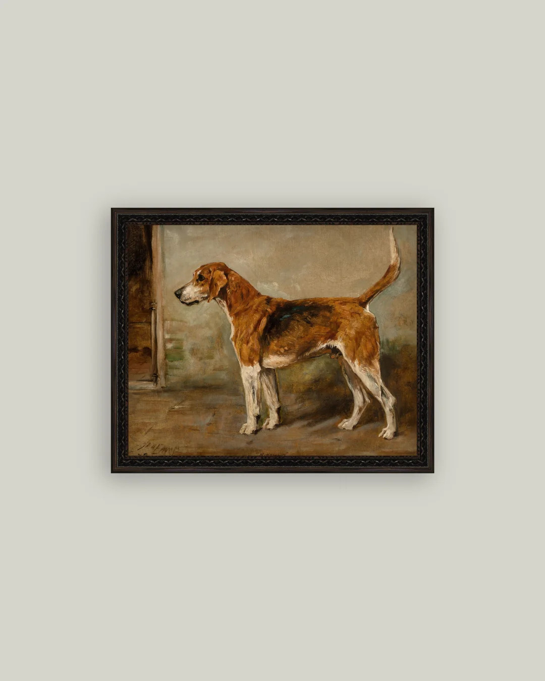 Fox Hound | Petal Lane