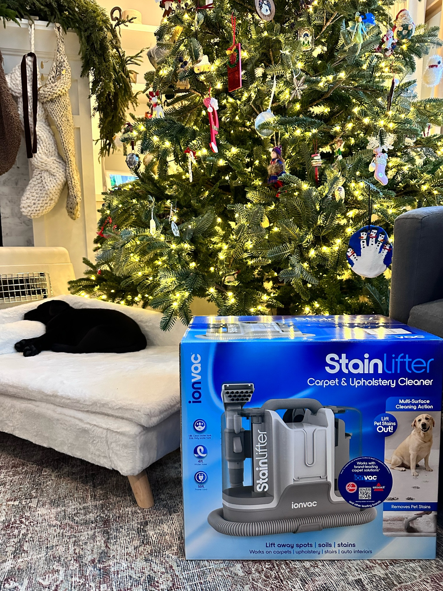 With three dogs I knew I needed to get a bigger carpet cleaner! Even
More pumped it can be used on upholstery! @walmart has some amazing cyber Monday deals . This is $60 off and on sale for only $59! #walmartpartner #walmart #iywyk #walmartfinds

#LTKCyberWeek #LTKCyberSaleIT #LTKCyberSaleES