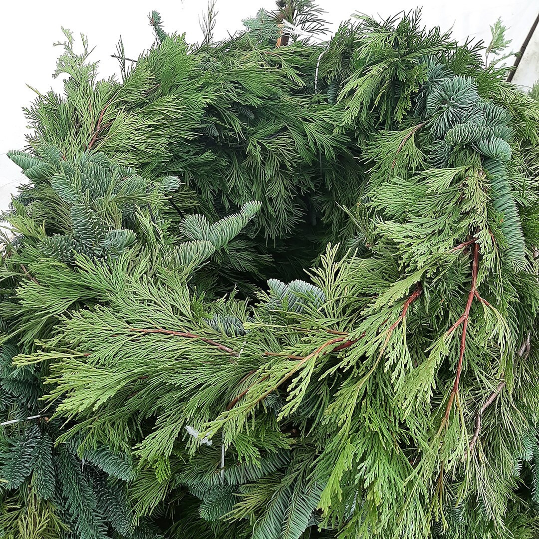 Christmas Garland | Mixed Garland | Fresh Cedar | Beautiful fresh handmade garland | By by the ft... | Etsy (US)
