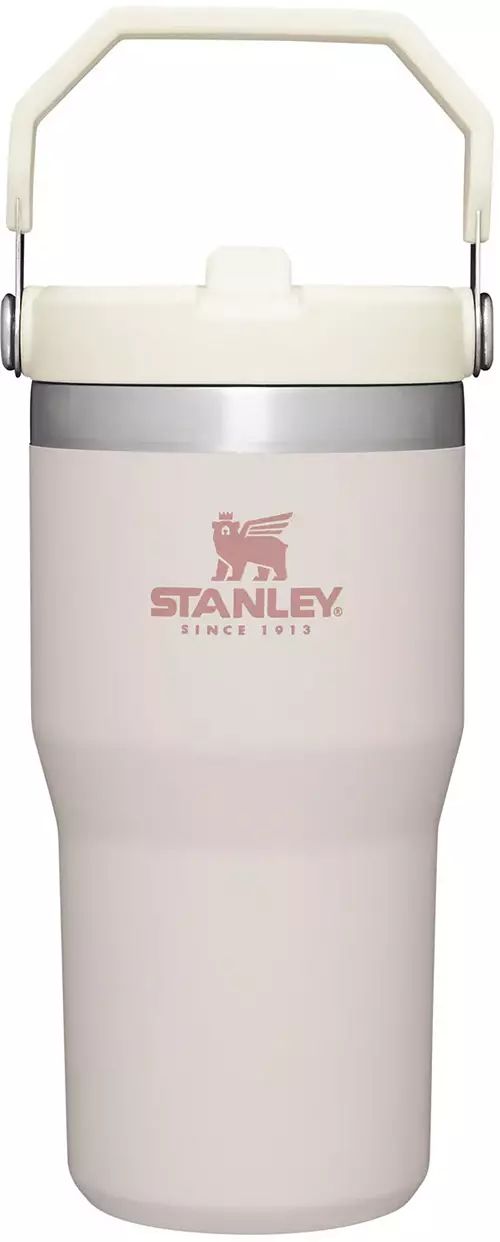 Stanley 20 Oz. IceFlow Tumbler with Flip Straw | Dick's Sporting Goods