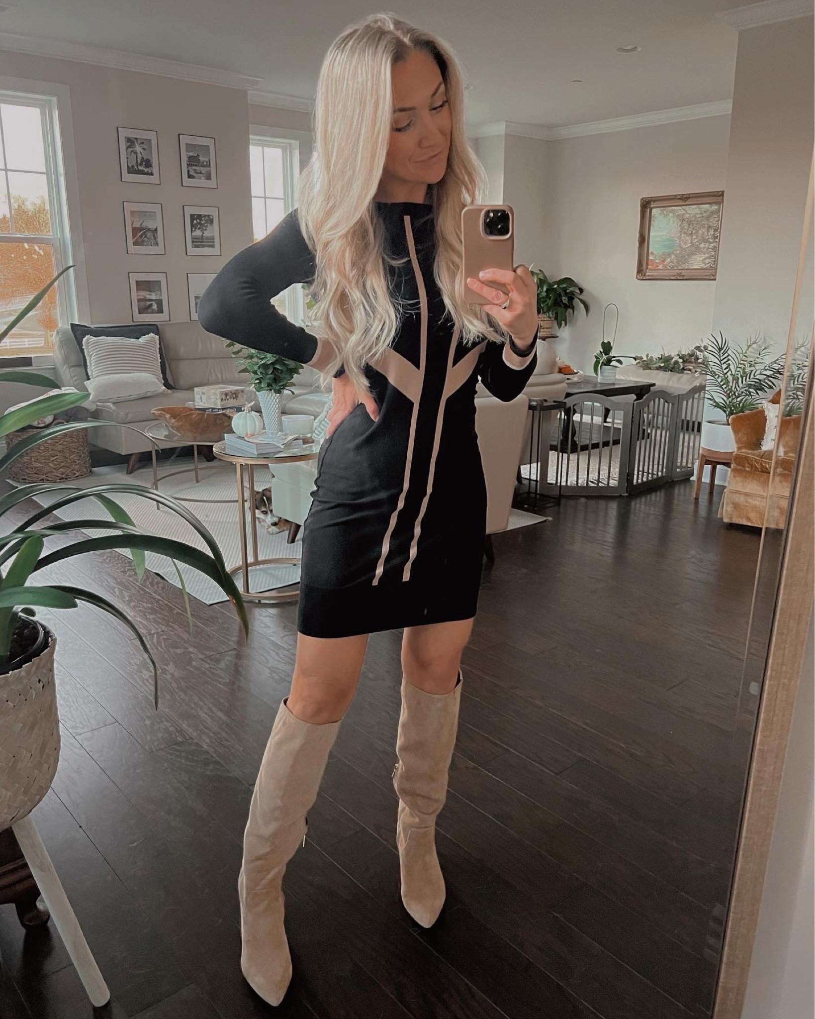 Tall suede boots are a must for the fall/winter seasons and make a great gift!

#LTKshoecrush #LTKSeasonal #LTKGiftGuide