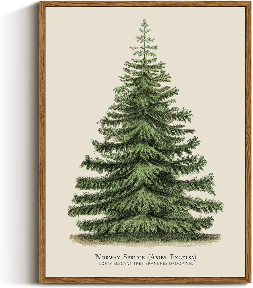 VIYYIEA Framed Canvas Wall Art, Vintage Christmas Decor, Living Room Botanical Fir Pine Tree Wint... | Amazon (US)
