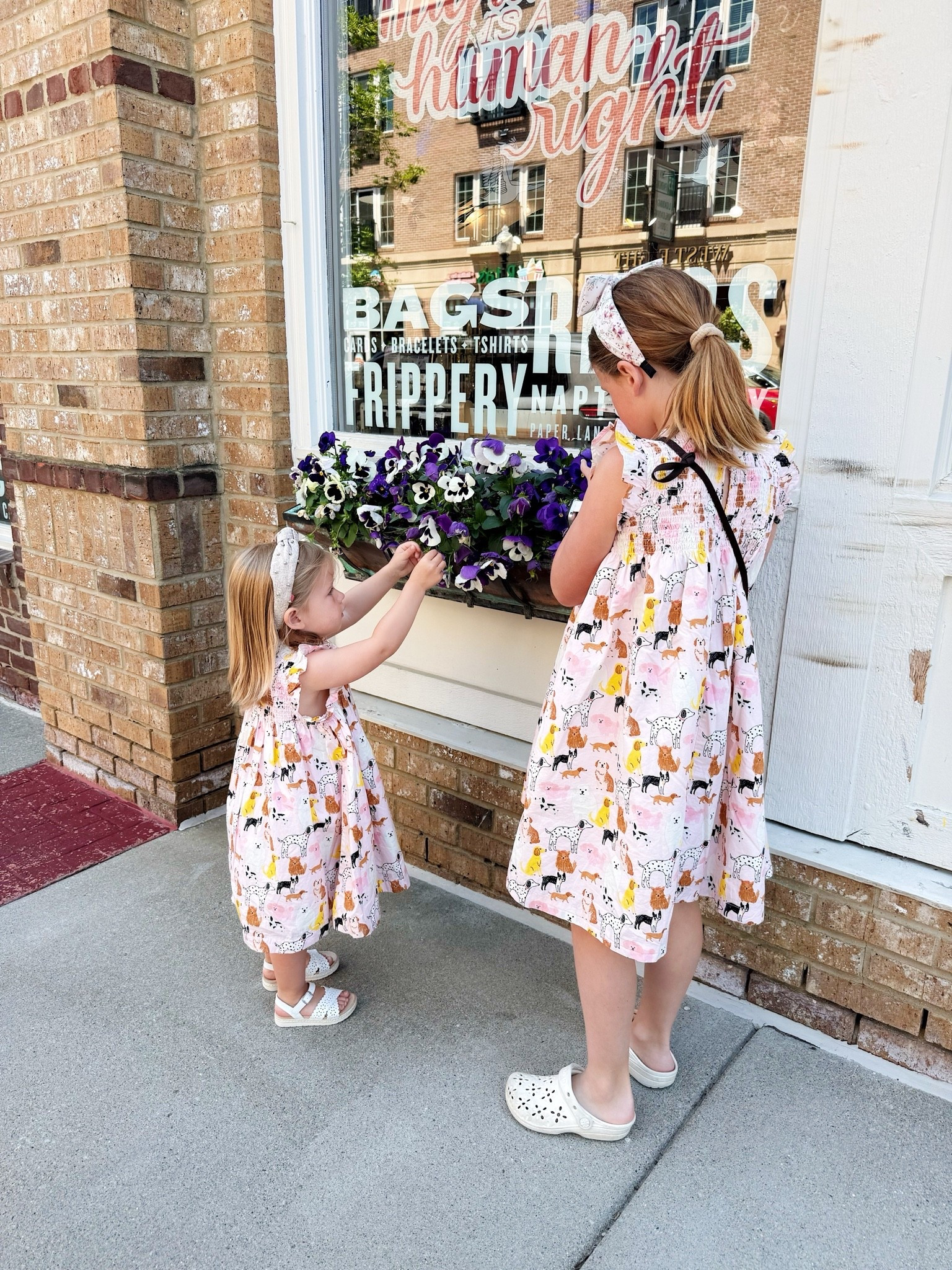 Cutest little girls puppy dresses

#LTKootd #LTKgrwm #LTKSeasonal