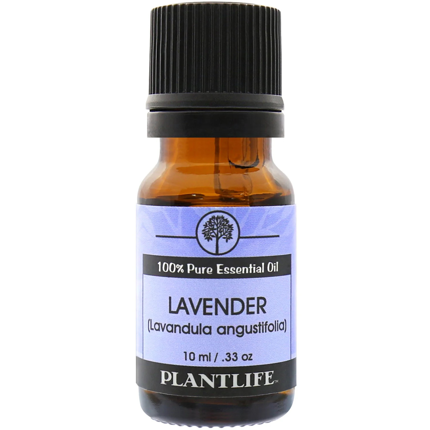 Lavender Bulgarian Essential Oil 10ml | Casual Chic Boutique