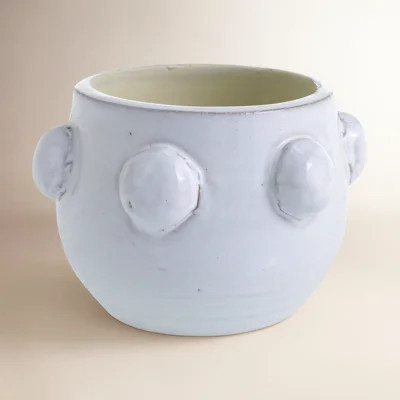 Zira Pot Planter | Wayfair North America
