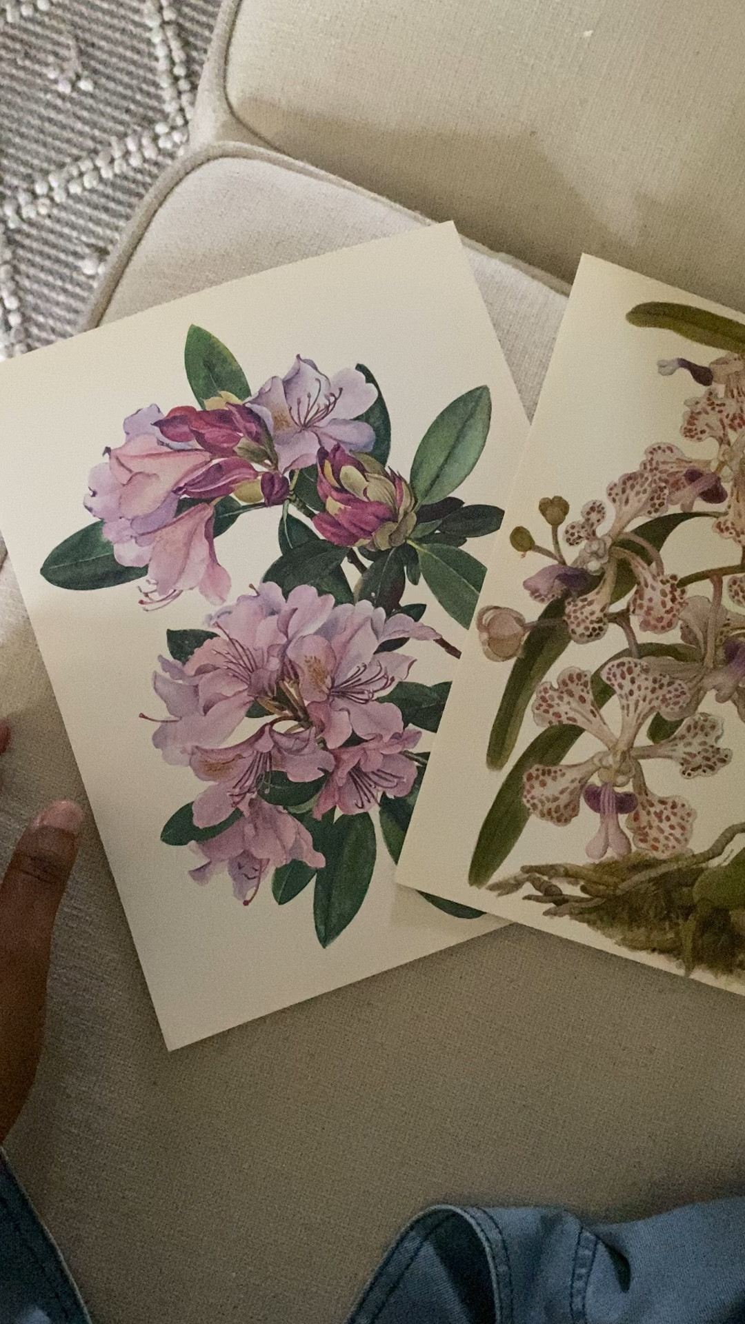 Vintage Etsy botanical prints. Packaged perfectly and so beautiful in person. Great unique art prints. And inexpensive too

#LTKVideo #LTKHome #LTKFindsUnder50