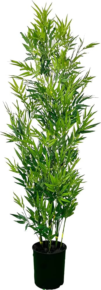 Designer 6' Artificial Bamboo Plant, Artificial Tree, Green, Cypress & Alabaster | Amazon (US)