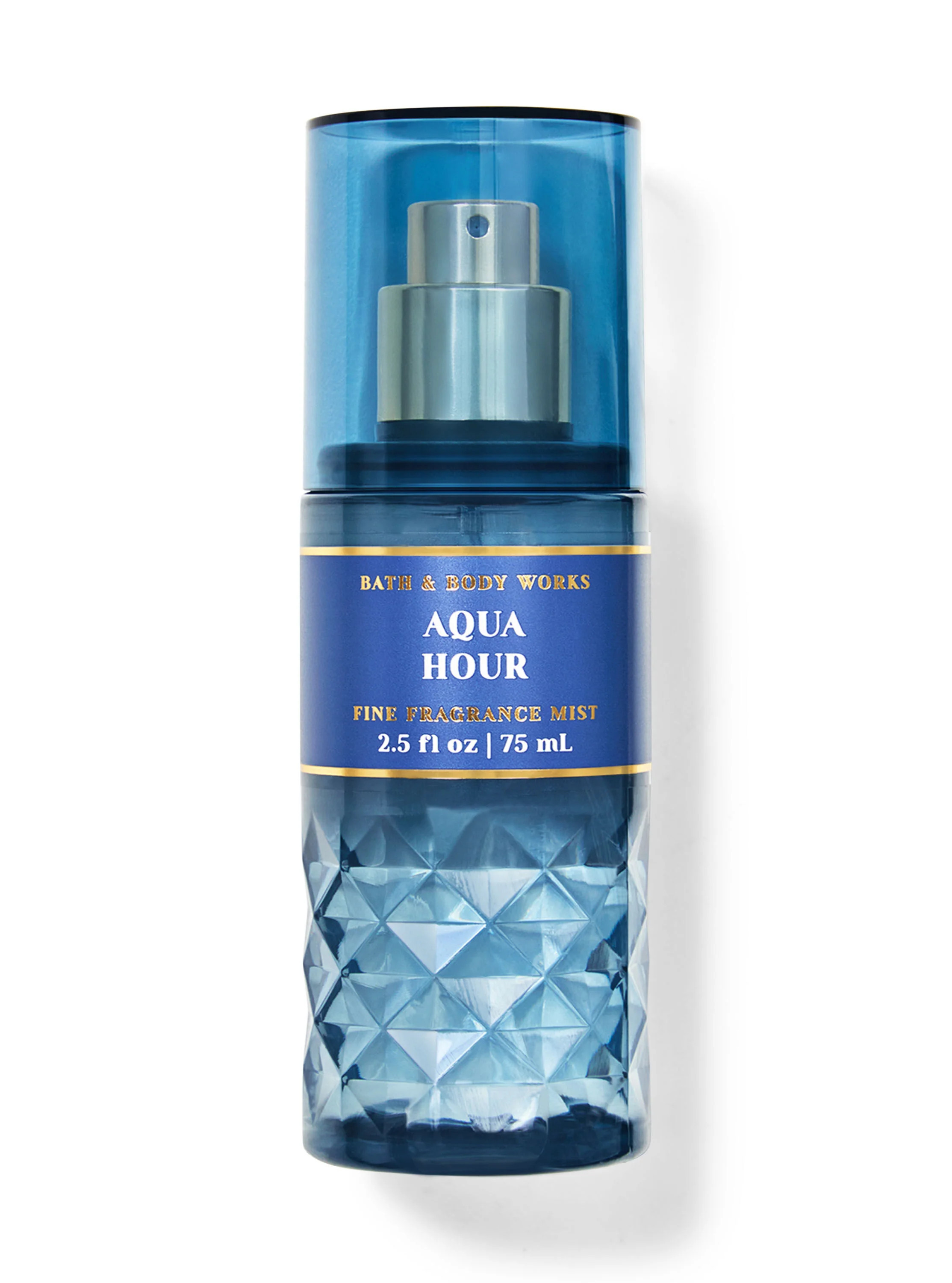 Aqua Hour


Travel Size Fine Fragrance Mist | Bath & Body Works