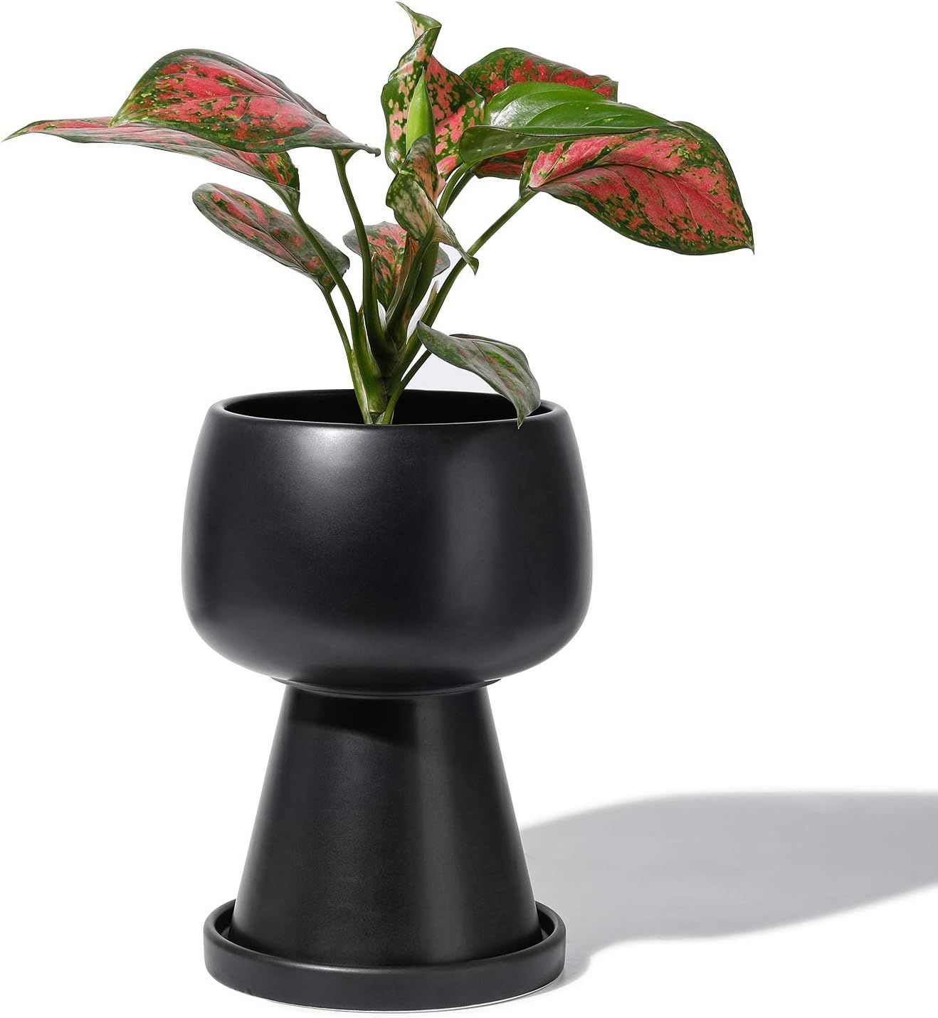 POTEY 054602 Flower Pot Indoor with Drainage Holes & Saucer - 4.9 Inch Glazed Ceramic Modern Uniq... | Amazon (US)