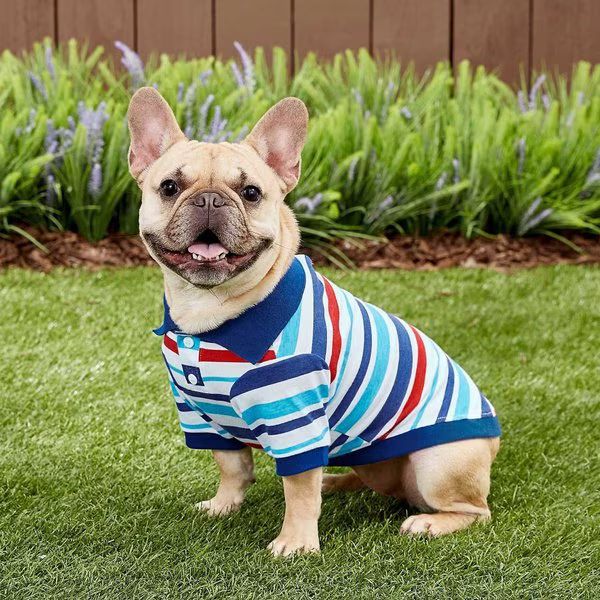Frisco Striped Dog & Cat Polo Shirt, Red & Blue | Chewy.com