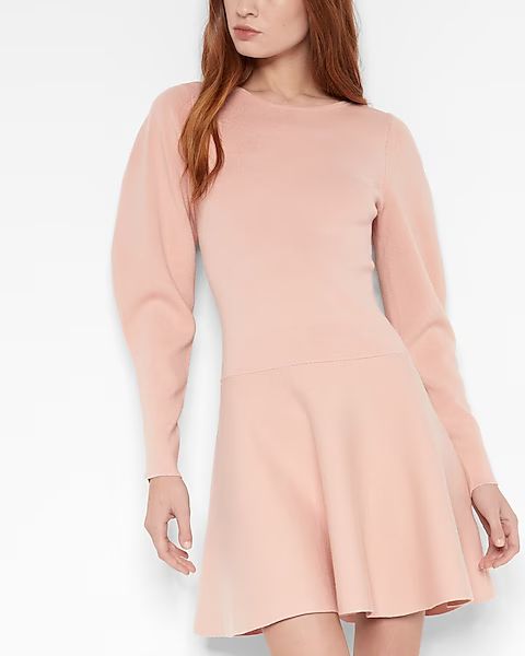 Long Sleeve Fit And Flare Sweater Dress | Express