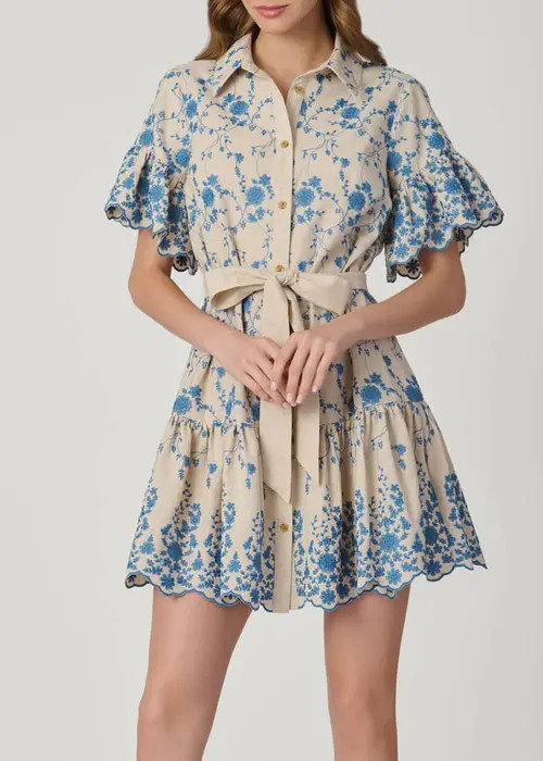 Shoshanna Lima Serra Embroidery Dress in Flax/powder Blue at Nordstrom, Size Large | Nordstrom