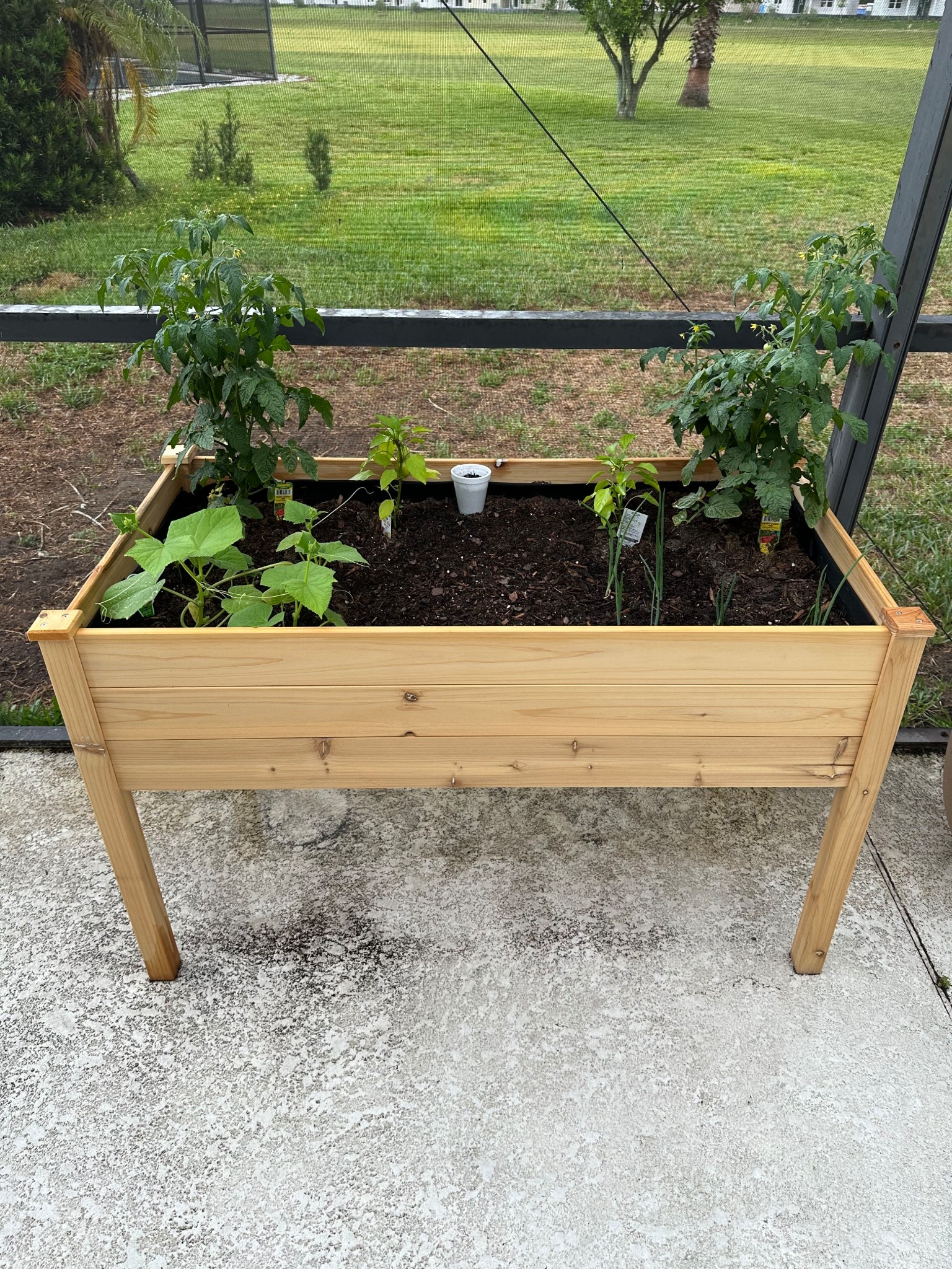 Raised garden bed 

#LTKHome #LTKSeasonal #LTKFindsUnder100