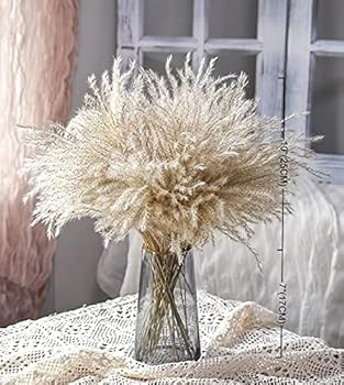 Fluffy Pampas Grass Reed Flower, Real Natural Dried Plant Flower Bunch Decoration for Vase Filler... | Amazon (US)