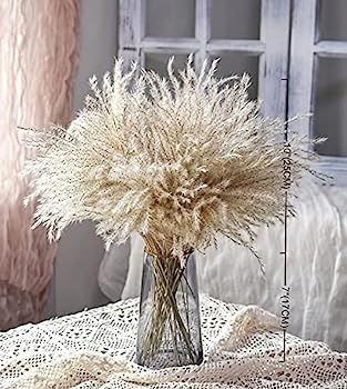 Fluffy Pampas Grass Reed Flower, Real Natural Dried Plant Flower Bunch Decoration for Vase Filler... | Amazon (US)