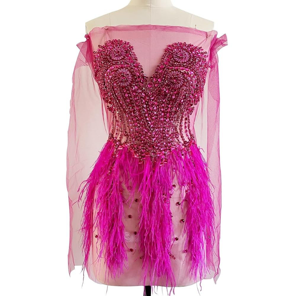 Zbroh Beautiful Ostrich fur decoration large full bodice applique pure handsewing rhinestones bea... | Amazon (US)