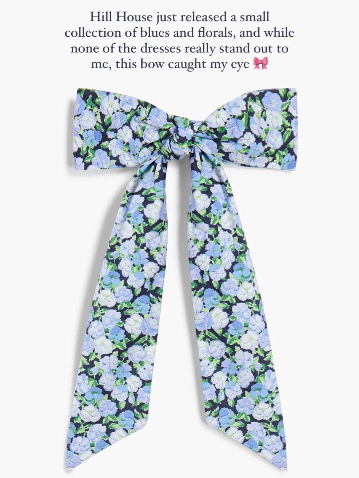 Gorgeous new bow from the Hill House winter floral collection 

#LTKstyletip #LTKSeasonal #LTKbeauty