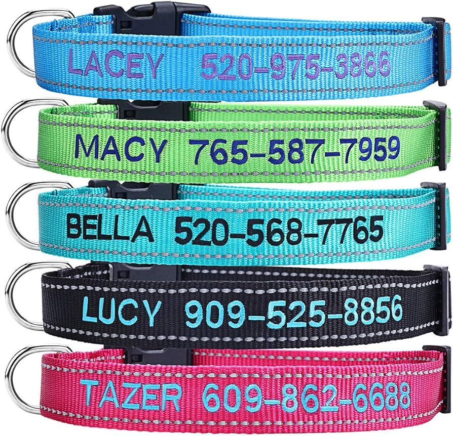 Personalized Dog Collar, Custom Embroidered Pet Name and Phone Number 4 Adjustable Sizes X-Small ... | Amazon (US)