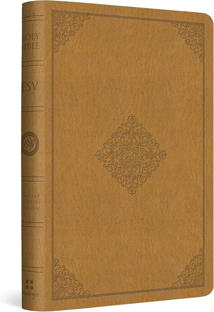 ESV Bibles | Amazon (US)