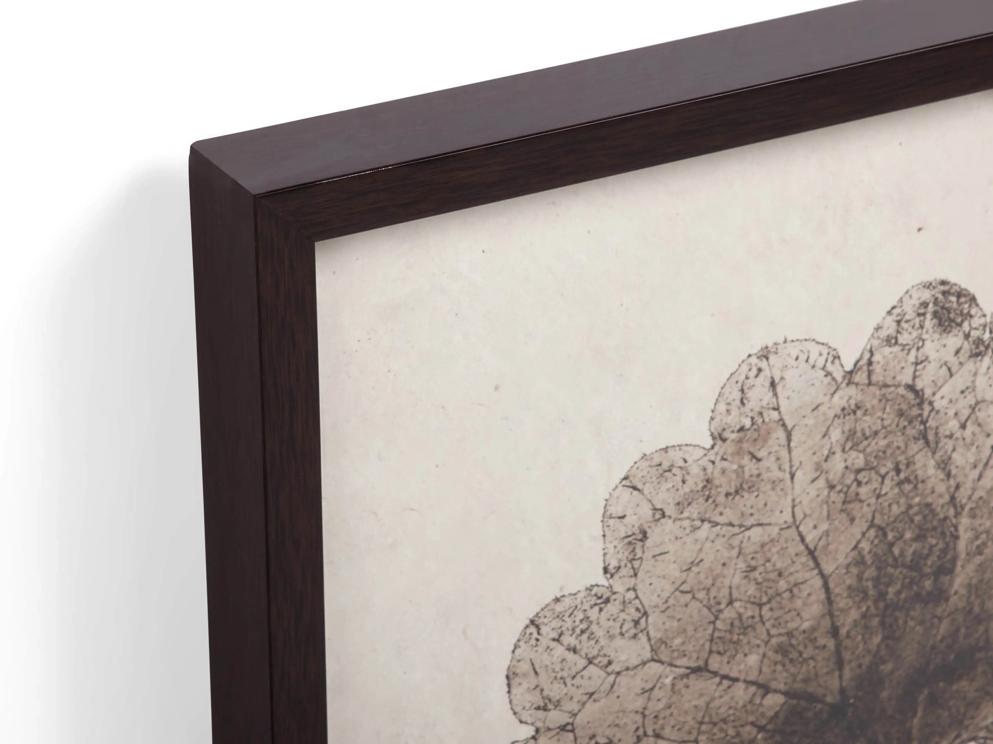 Botanical Triptych Framed Print | Arhaus