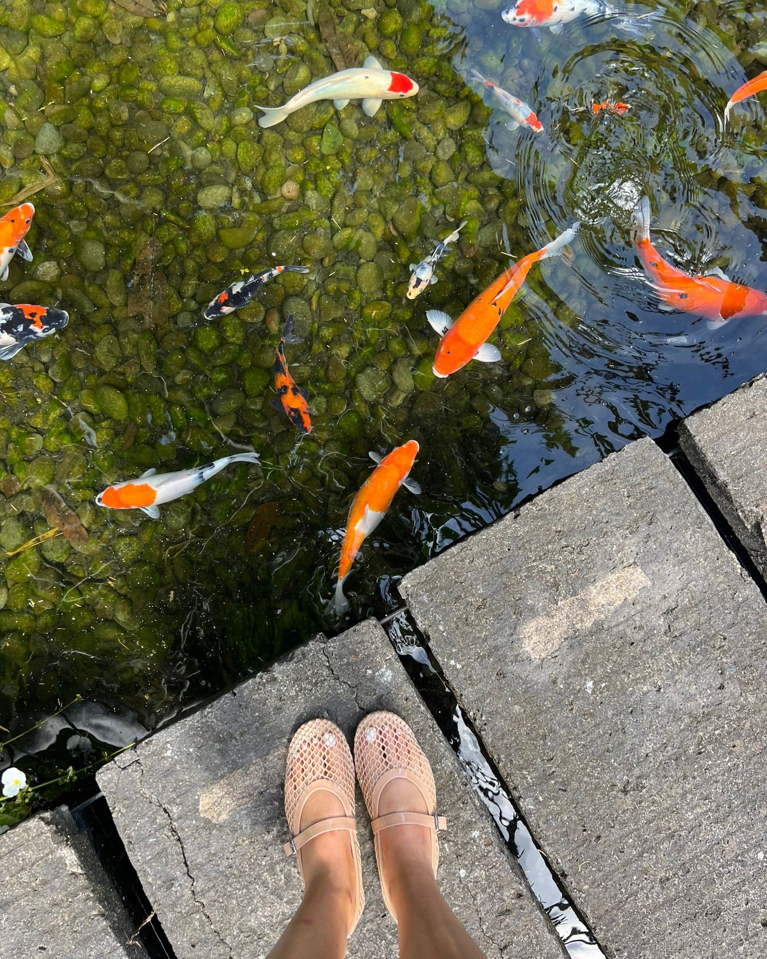 Summer toes 🧡

#LTKshoes #LTKstyletip #LTKaustralia