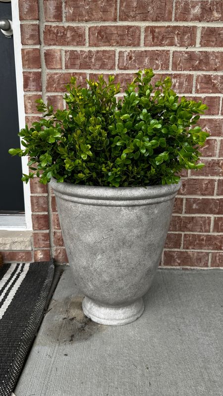 Outdoor planter

#LTKhome