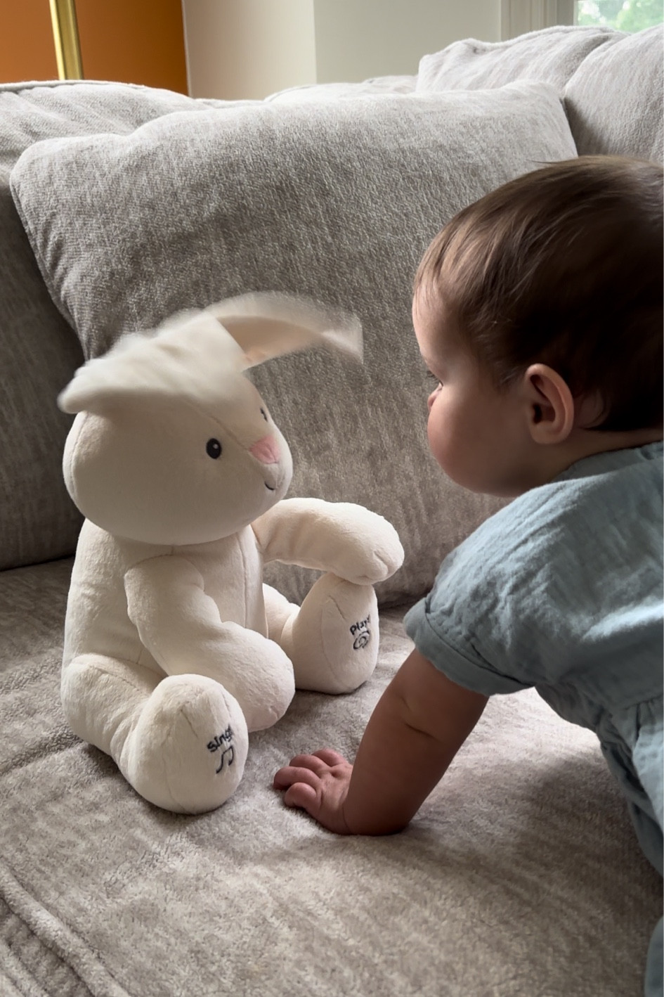 Peek-a-boo Bunny, our 7 month olds favorite toy! 