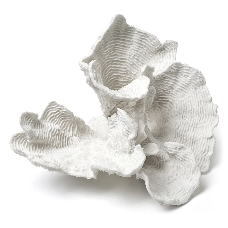 White Flower Shaped Coral Decoration | Wayfair Professional