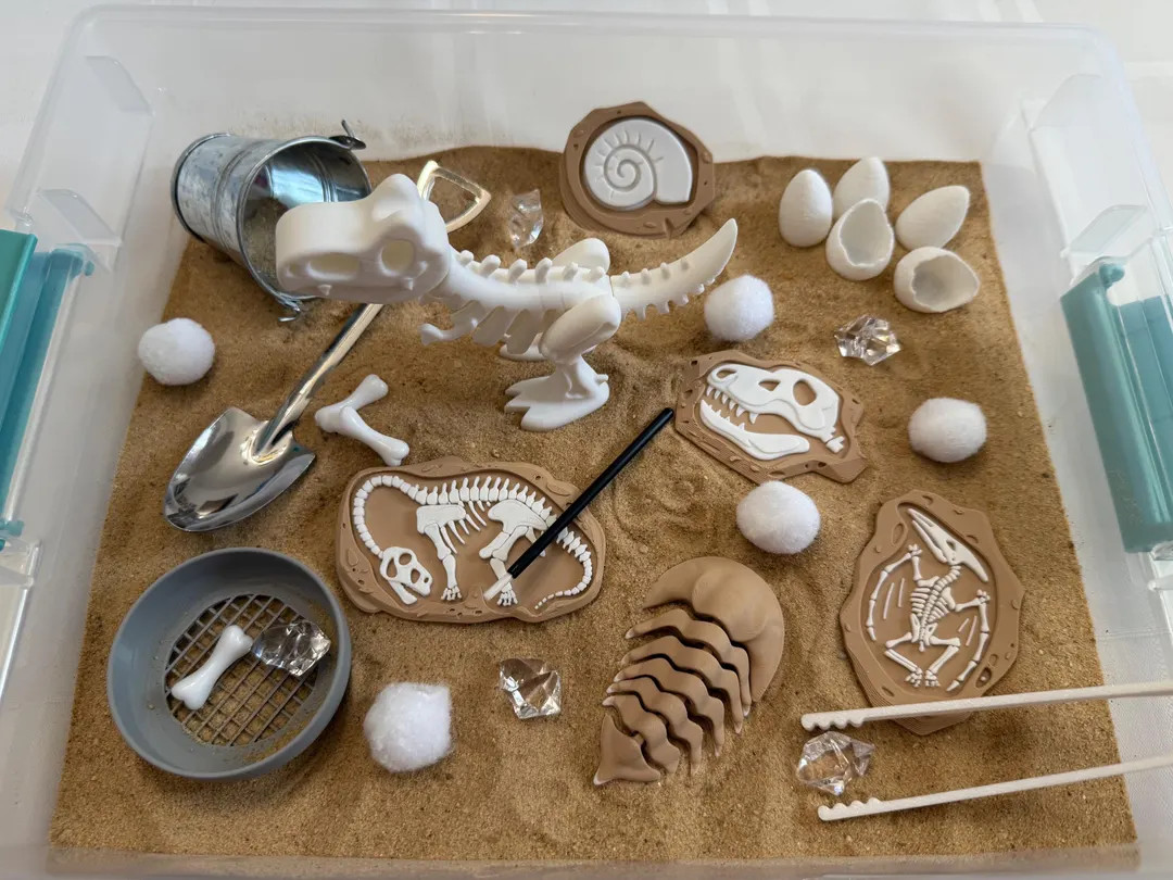 Dinosaur Fossil Dig Sensory Bin – Montessori Excavation Activity Kit for Kids | STEM Learning &... | Etsy (US)