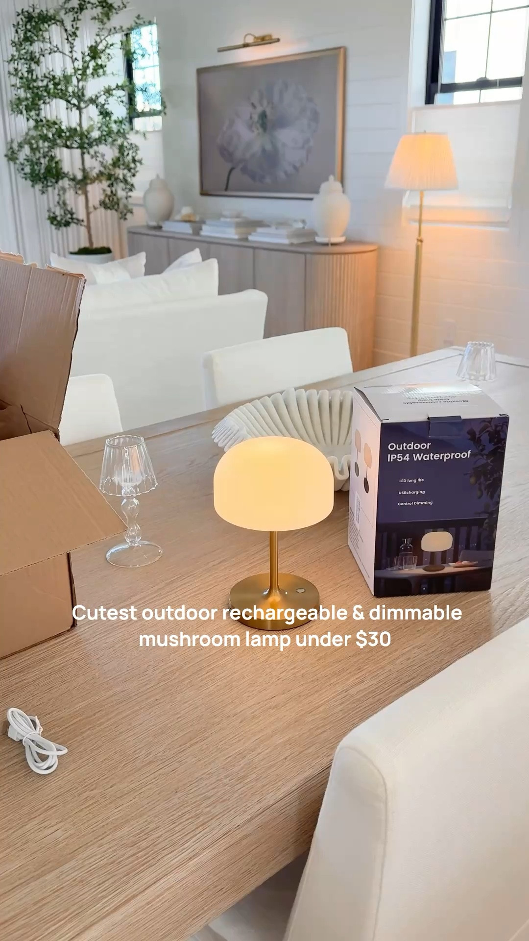 Love these adorable, rechargeable, dimmable outdoor lamps that come in 3 color temps ✨
I’ve also ordered the indoor mushroom lamps linked here that come with glass shades.

#LTKSeasonal #LTKHome #LTKSaleAlert