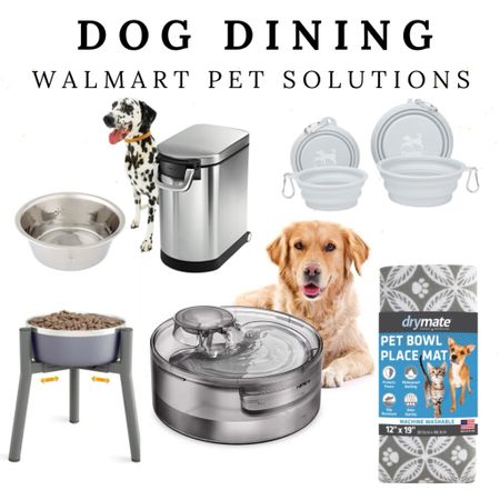 Make your life, and your pets’ life, a bit cleaner and more convenient with these practical pet finds from Walmart. Reduce the amount of time you are changing your dogs’s water with this auto pet fountain and aid in digestion with dog bowl risers. Keep your home from smelling like pet food with this air tight dog food container! 

#walmartpartner #ad #walmart #walmartfinds @walmart #petsolutions #dogproducts 

#LTKFindsUnder50 #LTKFamily #LTKKids