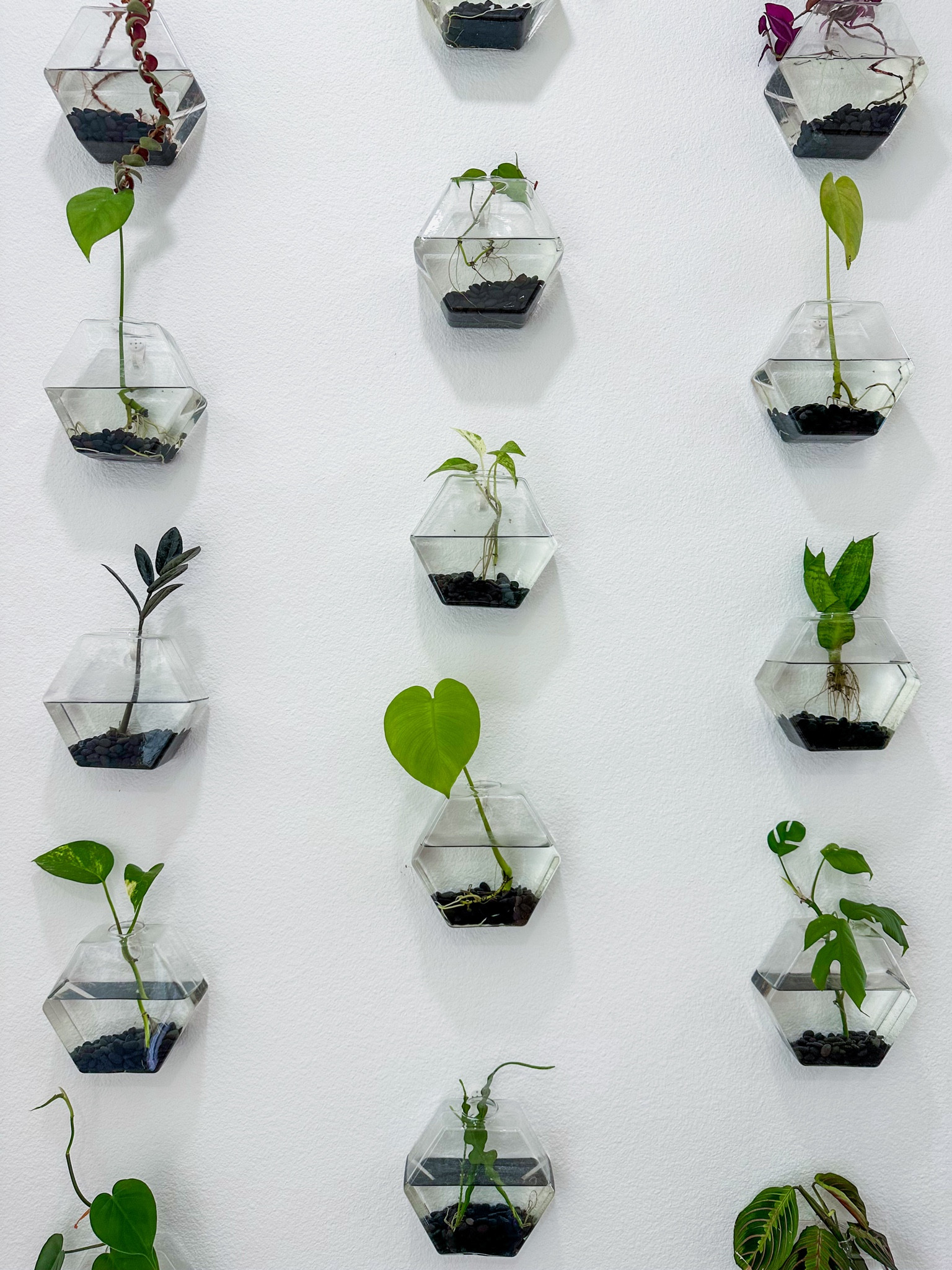 Propagation wall! 

#LTKHome #LTKFindsUnder50
