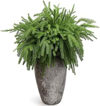 8PCS 18.5 inches Christmas Norfolk Pine Branches, Artificial Norfolk Pine Branches Faux Greenery ... | Amazon (US)