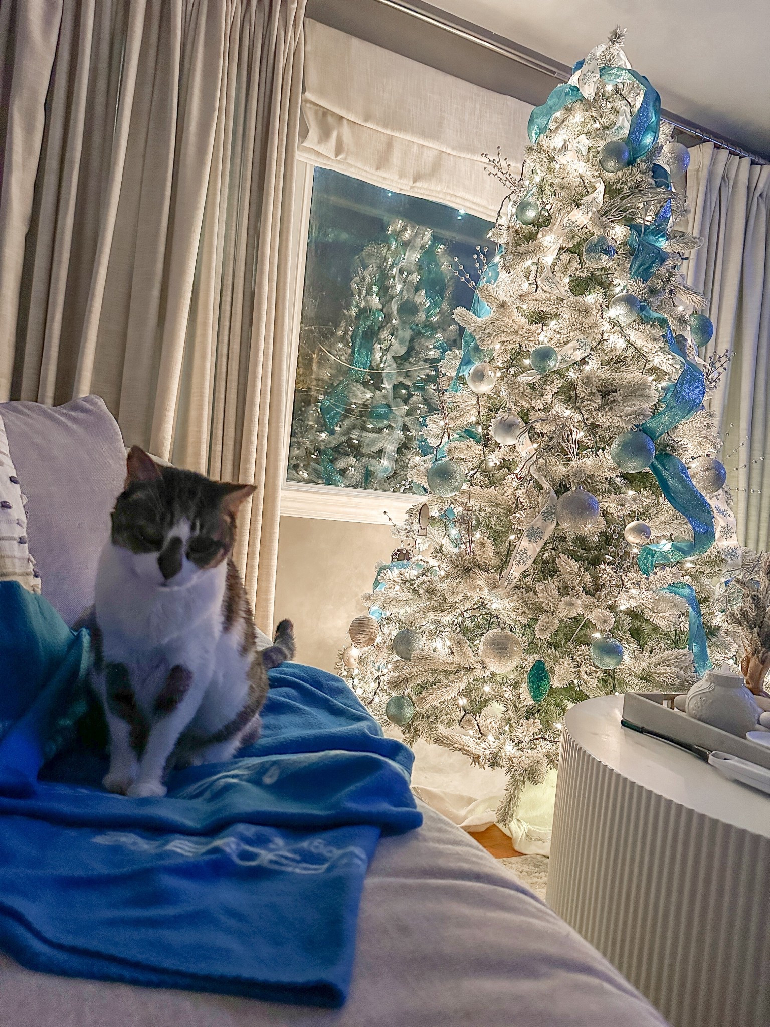 We have had this flocked tree 5 years and still love it as does biggie 🐈‍⬛ 

#LTKHome #LTKStyleTip #LTKHoliday
