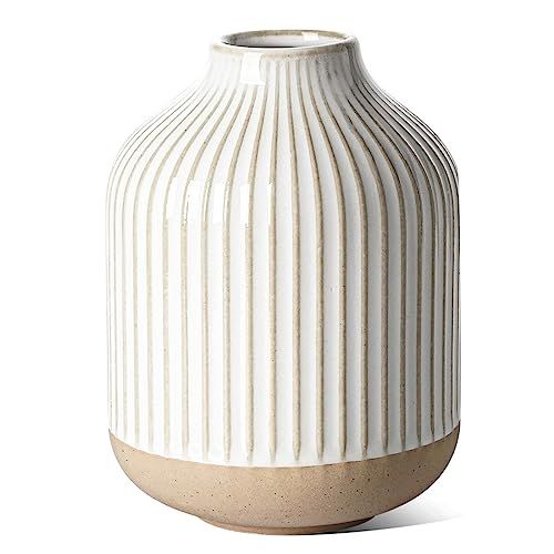 Small Boho Vase for Decor,Rustic Farmhouse Vase for Pampas Grass,Eucalyptus Set and Tiny Stem Flo... | Amazon (US)