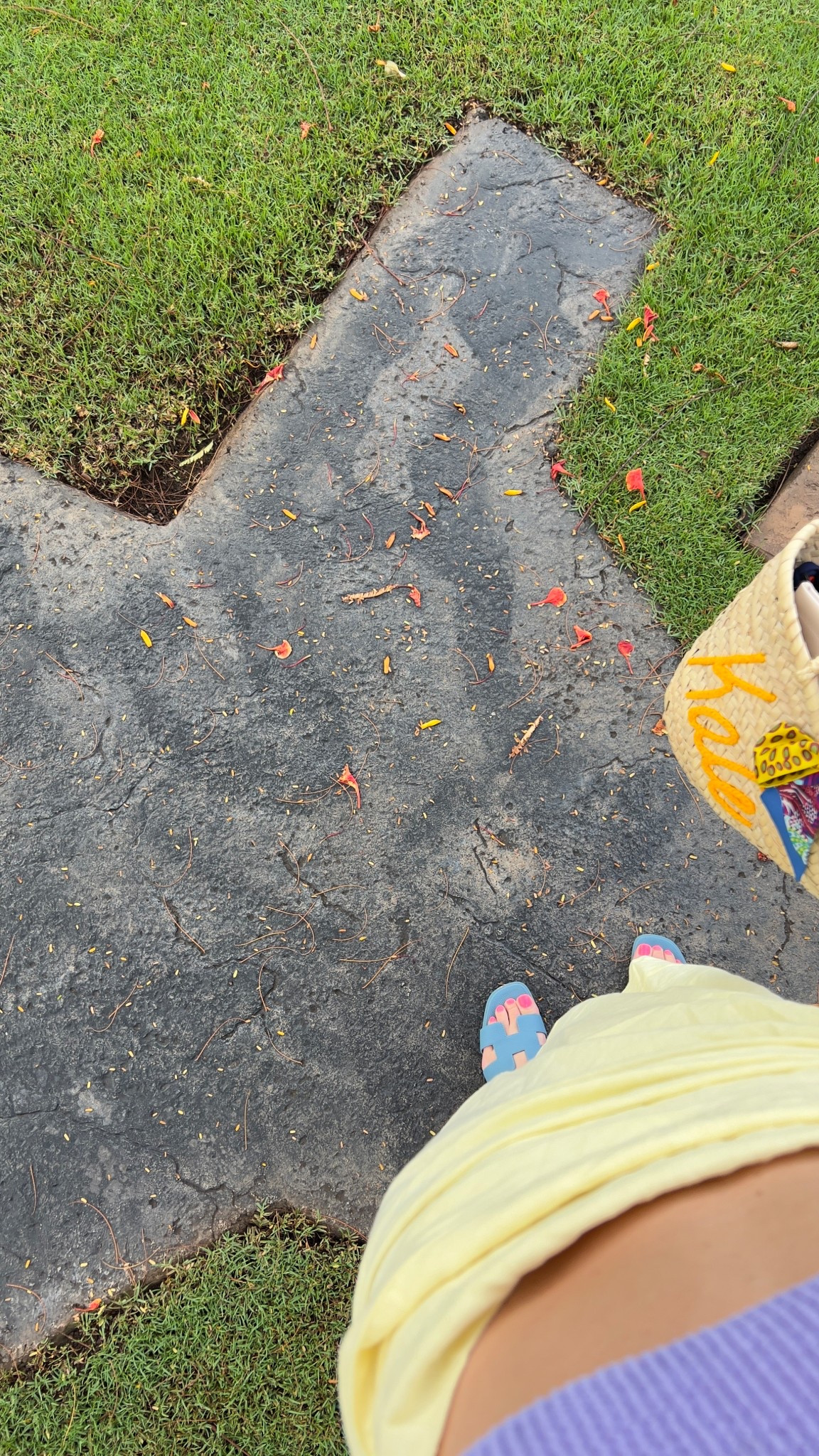 💛💛💛

a tisket a tasket… here’s to my favorite beach basket. 

#LTKSeasonal #LTKSwim #LTKTravel