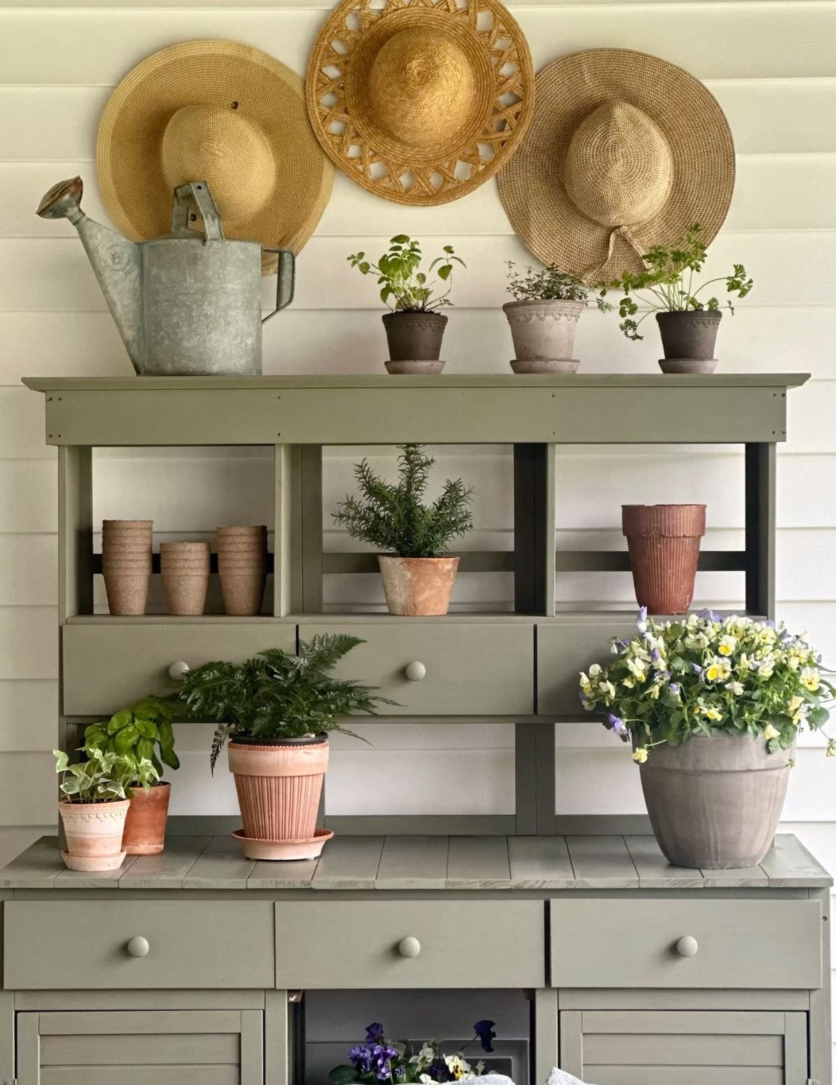 My favorite planters for this spring🪴

#LTKHome #LTKSeasonal