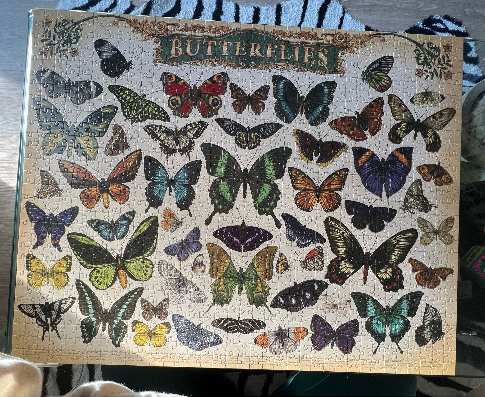 🧩Fun Puzzles for gifts 🧩

#LTKGiftGuide #LTKfamily #LTKhome