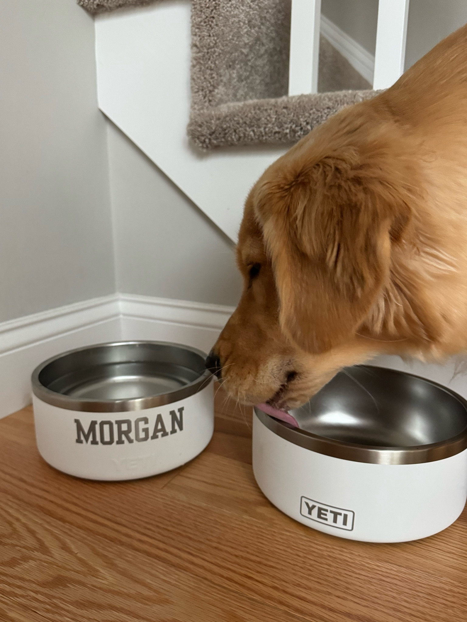 We love these customized dog bowls from Yeti! Really great quality 


#LTKHome