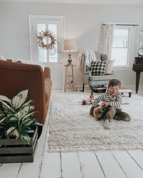 Ivory Shaded Shag With Tassels Area Rug | Rugs USA