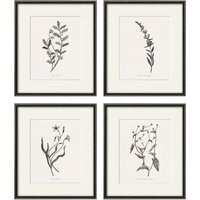 Antique Botanical Prints Set Of 4 Botanical Art Flower Wall Flowers Poster Antique Home Decor | Etsy (US)