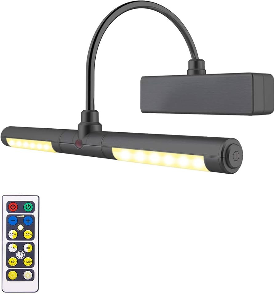 LUXSWAY Picture Light Battery Powered, Wireless Painting Light with Remote, 3 Modes Brightness Ar... | Amazon (US)