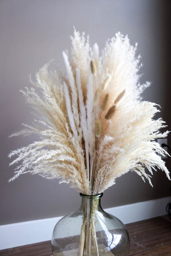PAMPAS GRASS Promo Pack for Tabletop  Natural White Dried Pampas Plant Decor, Pampas Wedding Deco... | Etsy (US)