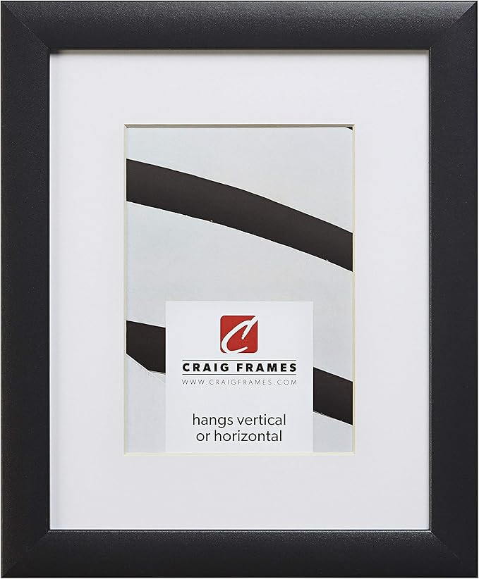 Craig Frames 1WB3BK 11 x 17 Inch Black Picture Frame Matted to Display an 8 x 12 Inch Photo | Amazon (US)