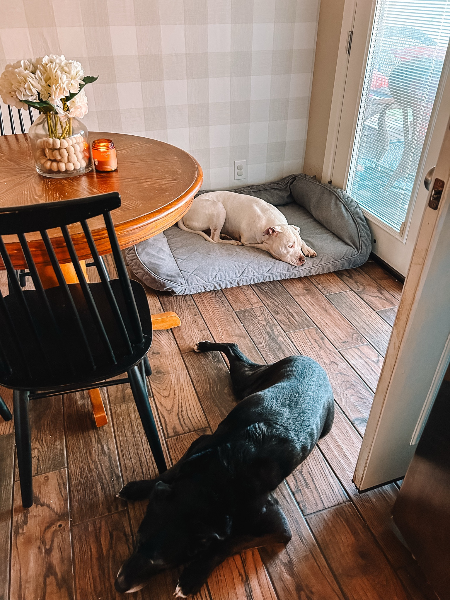 THE best dog beds ever. Buy one and it will last you ten years! And my favorite non toxic candle.

Dog beds, large dog bed, dog decor, dog mom, kitchen chairs, target chairs, kitchen table, wallpaper, magnolia wallpaper, peel stick, checkered wallpaper

#LTKFamily #LTKHome