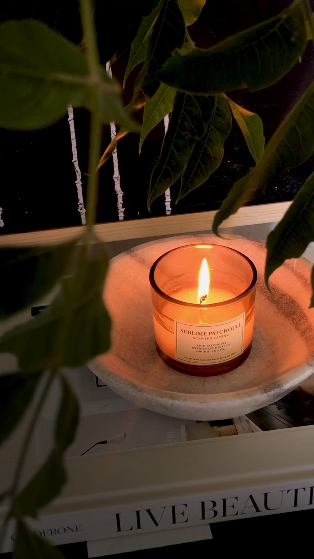 Loving this candle. It reminds me of moss & earth but in an elevated & warming way. Very affordable too! 

#LTKunder50 #LTKunder100 #LTKSeasonal