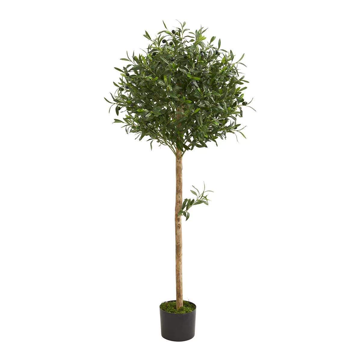 nearly natural Artificial 5-ft. Olive Topiary Tree | Kohl's