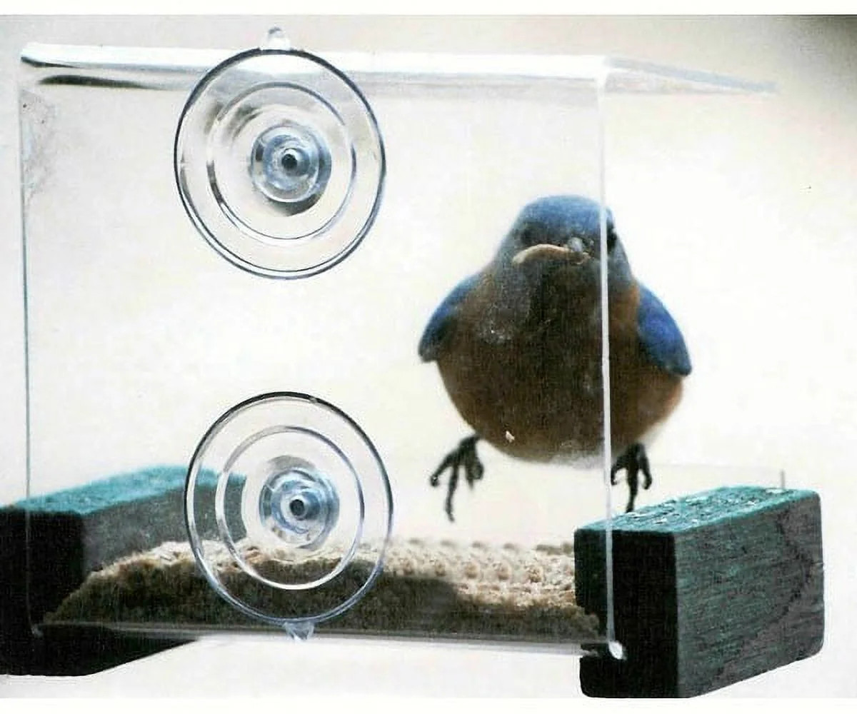 Songbird Essentials SE536 Mini Green Window Feeder | Walmart (US)